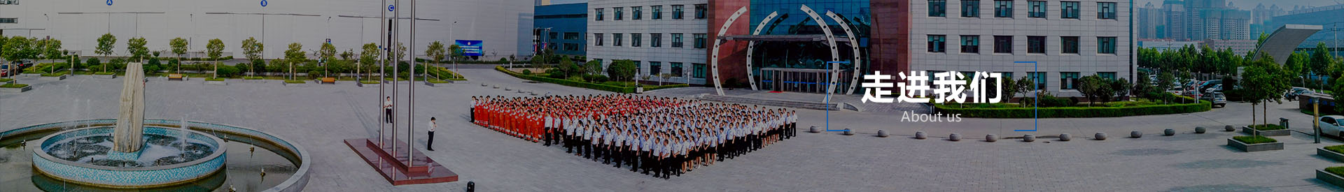 918.COM博天堂体育(中国大陆)科技公司,